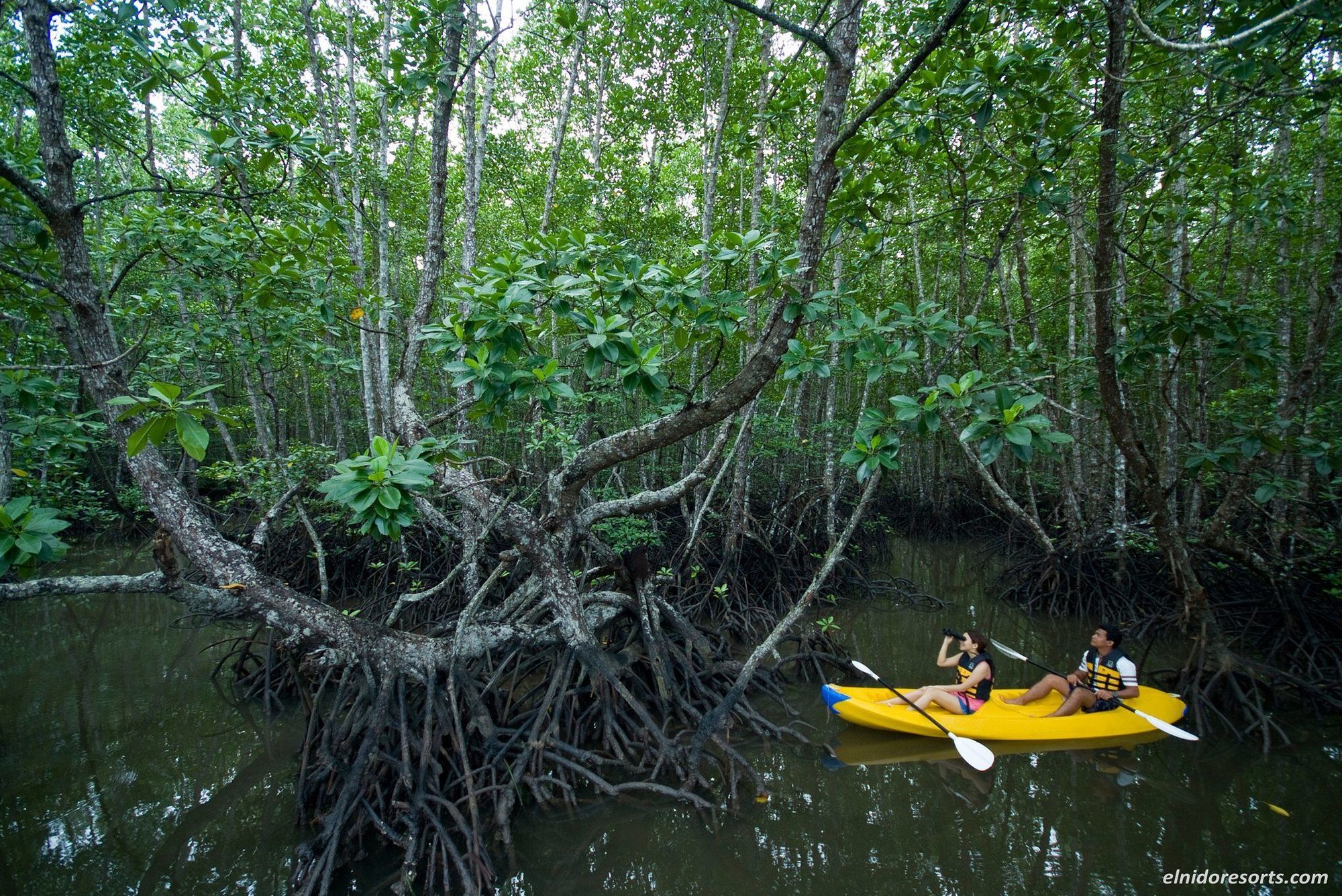 El Nido Resorts Pangulasian Island Удобства снимка